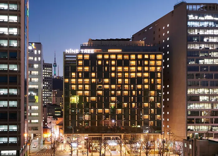 Nine Tree By Parnas Seoul Myeongdong 2