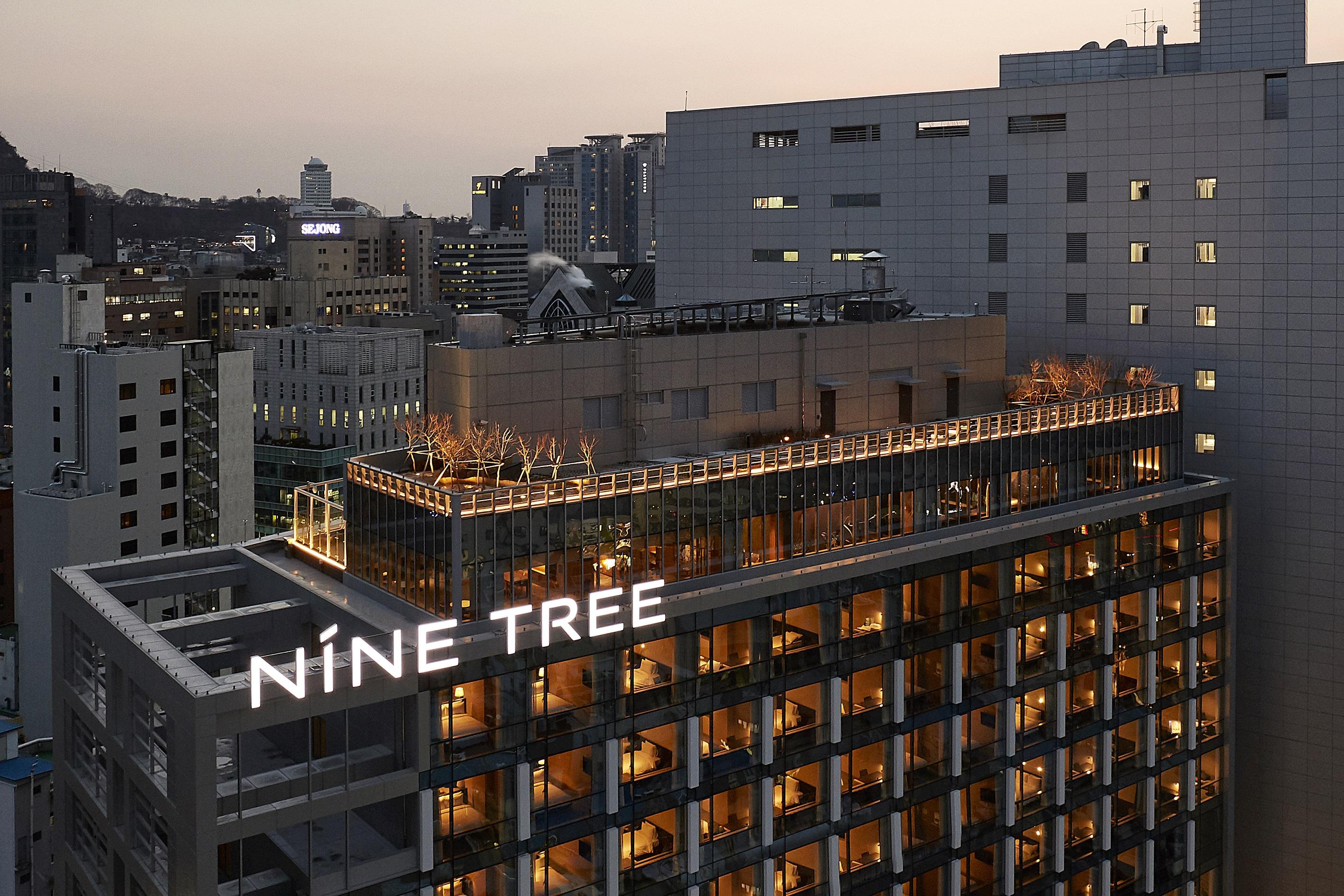 Nine Tree By Parnas Seoul Myeongdong 2 Seoul
