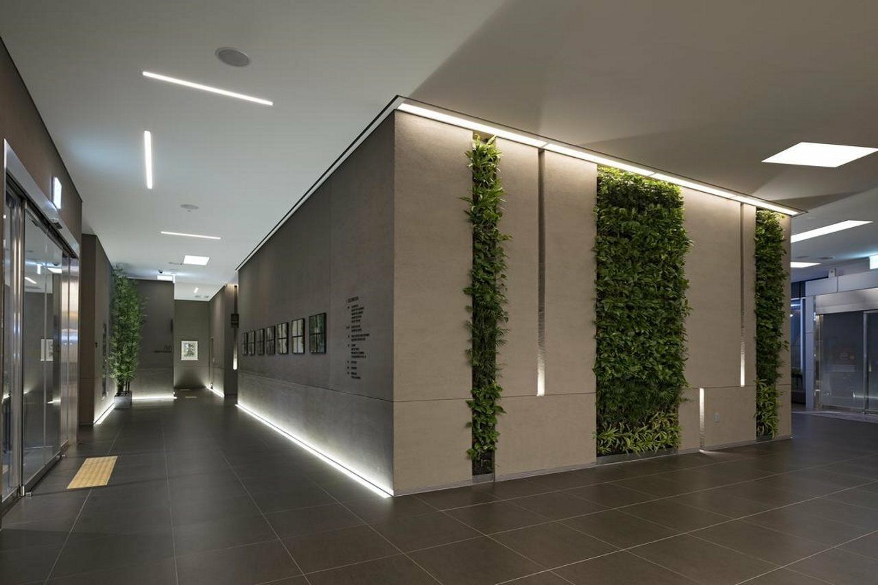 Nine Tree By Parnas Seoul Myeongdong 2 Seoul